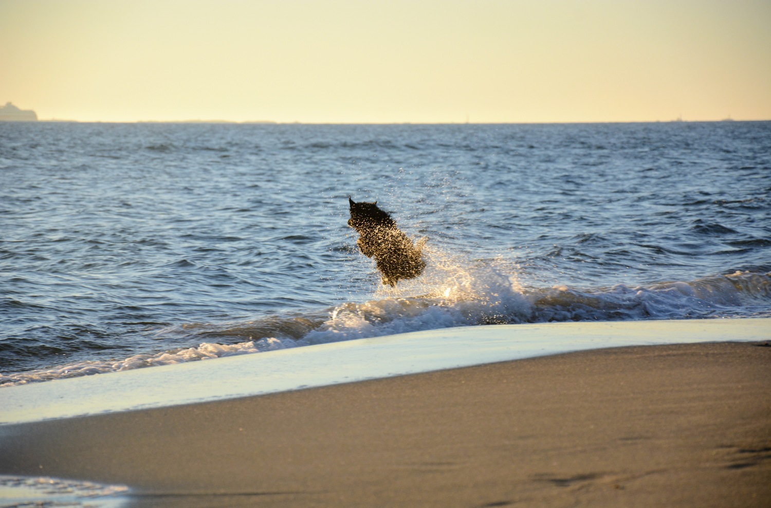 Činta skáče do vln
